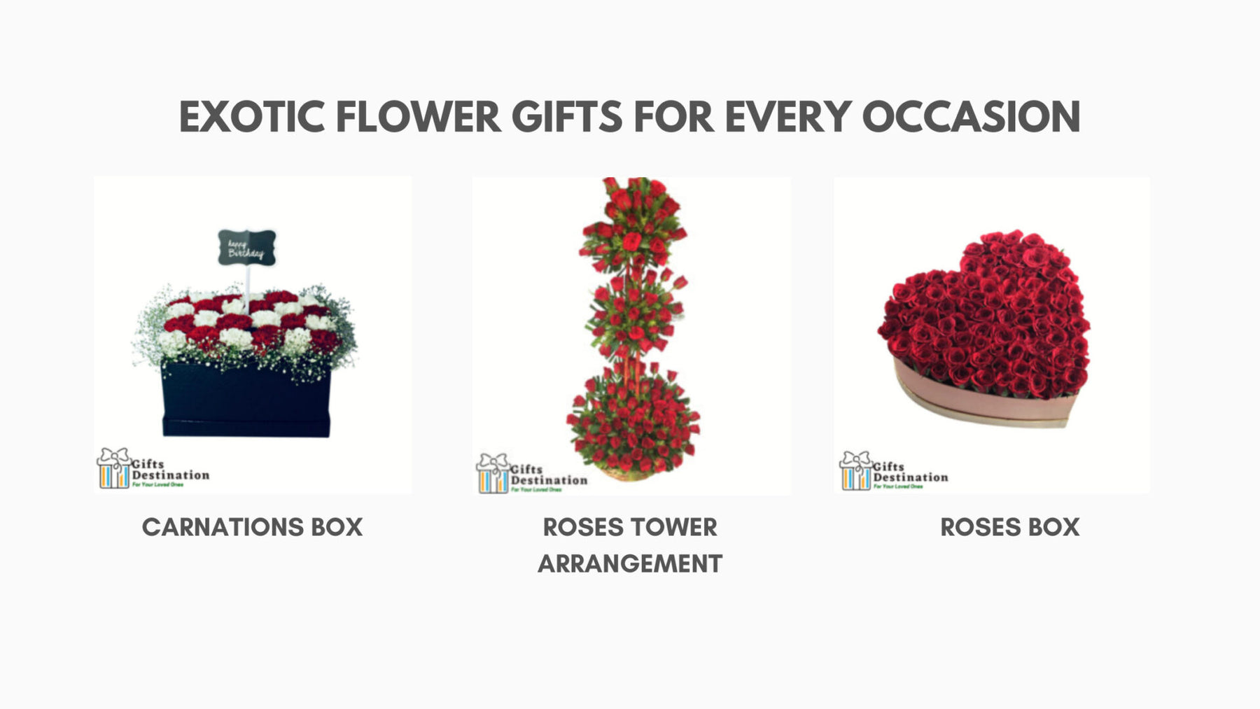 Exotic Flower Gifts for every Occasion