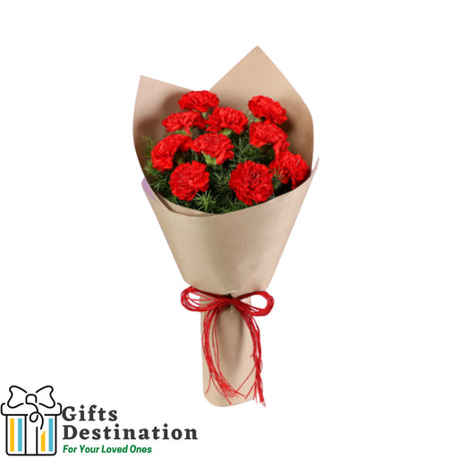 10 Bright Red Carnations Bouquet