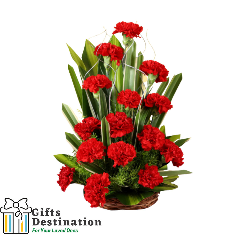 15 Regal Carnations Basket