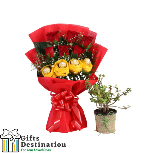 Ferrero Rocher & Red Roses Bouquet With Jade Plant