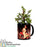 Jade Plant In Personalised Black Mug