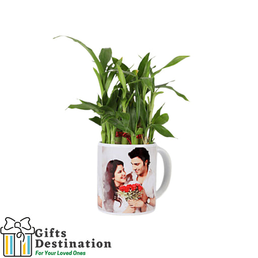 Lucky Bamboo in Personalised White Mug