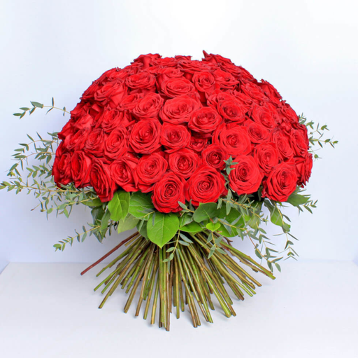 Luxury 100 Red Rose
