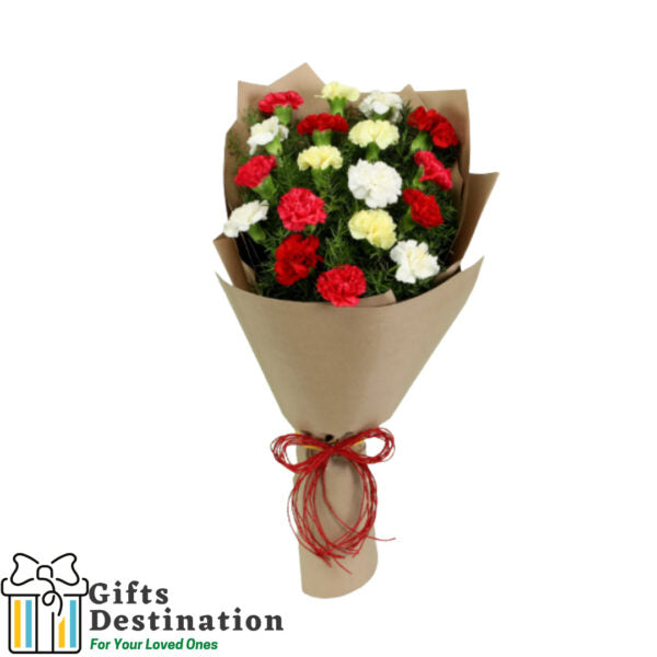 Red Raffia Tied Mixed Carnations Bouquet