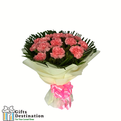 Beautiful Baby Pink Carnations Bouquet