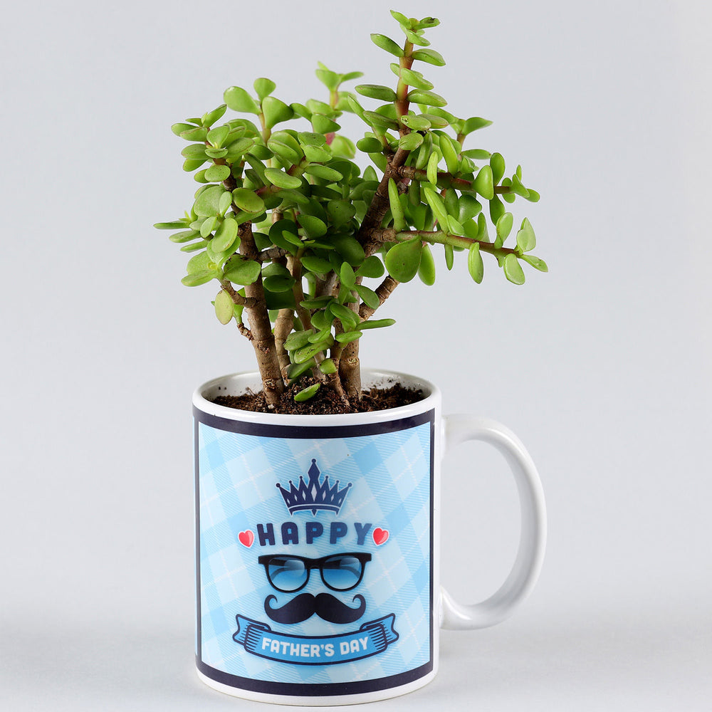 Jade Plant In Father’s Day Mug